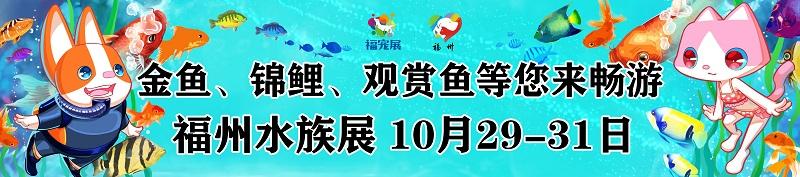 淡水观赏鱼的种类图片