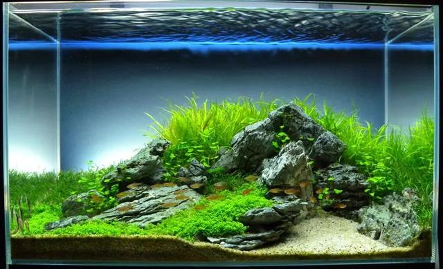 45cm制砂机