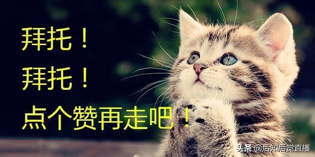 600143股票(600143股票股) 第2张