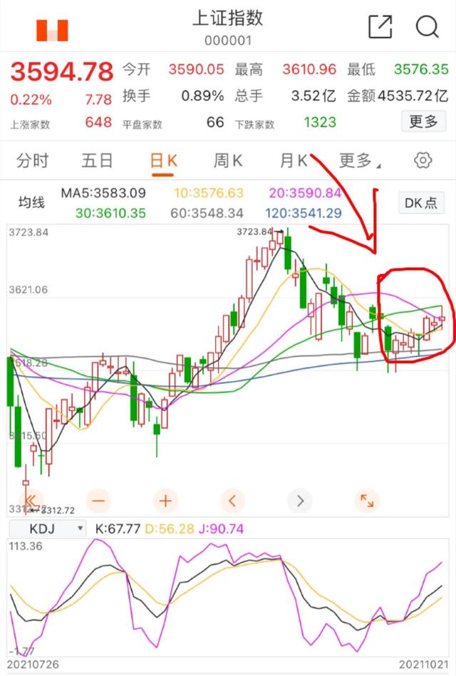 10.22号白酒 医疗 新能源 半导体 煤炭 证券 基建等板块分析与机遇