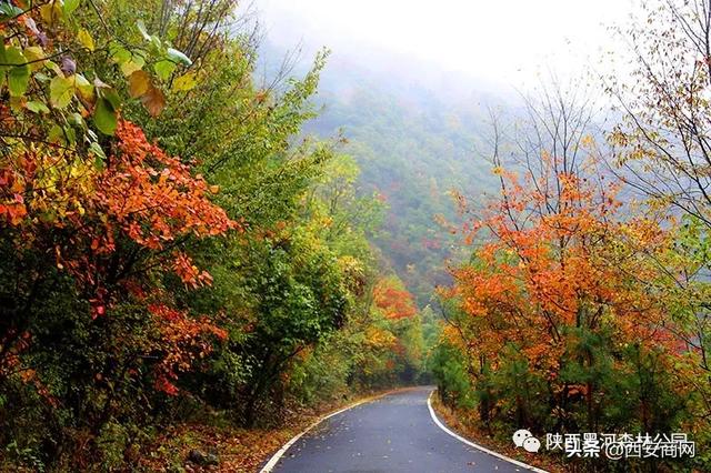 陕西黑河森林公园