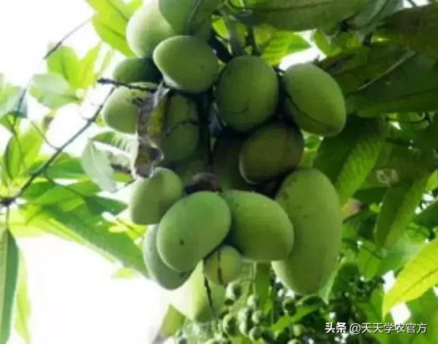 普洱单缸圆锥破碎机哪家价格便宜
