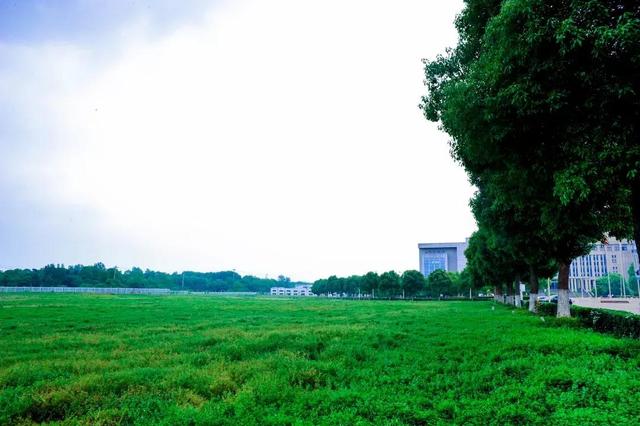 南京航天航空大学金城学院