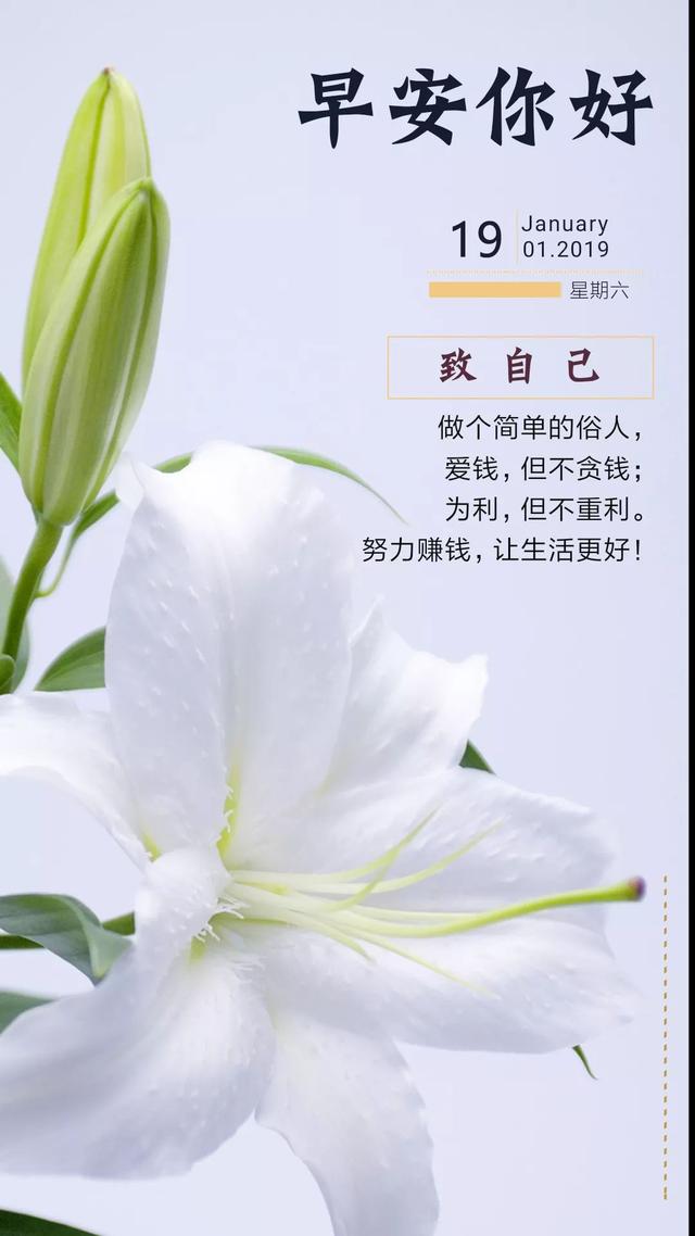 早安日签周六190119：正能量的人总是自带光芒，为更好的自己努力