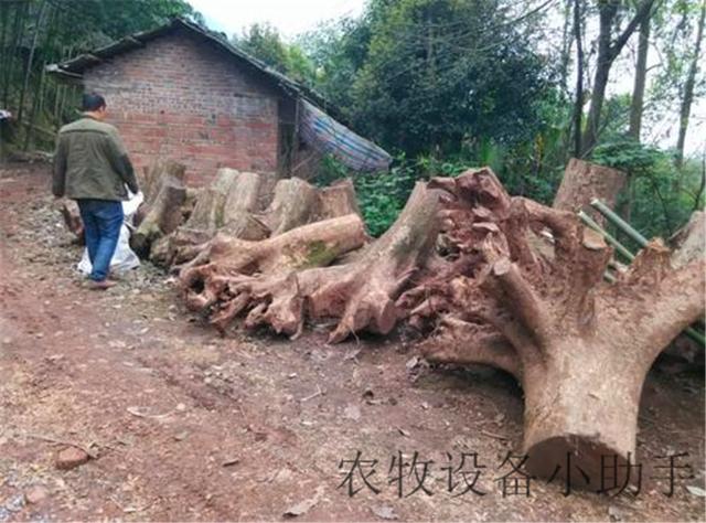 关于北京树墩破碎机价格的信息