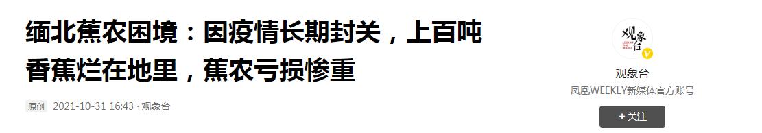 缅北香蕉烂市，上百万吨卖不出去，国内香蕉涨20%，国外淘金是赌6