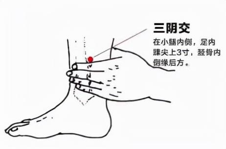 冬季精油使用指南