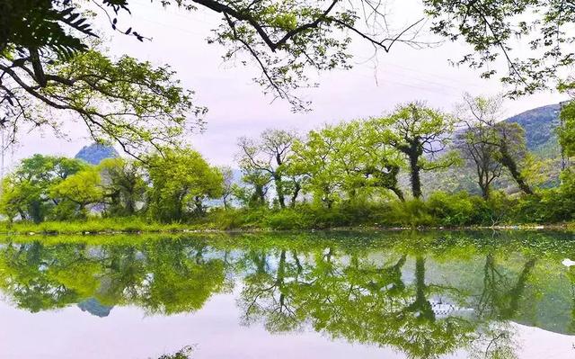 圣迹苍岩 圣迹苍岩（河源圣迹苍岩） 生活