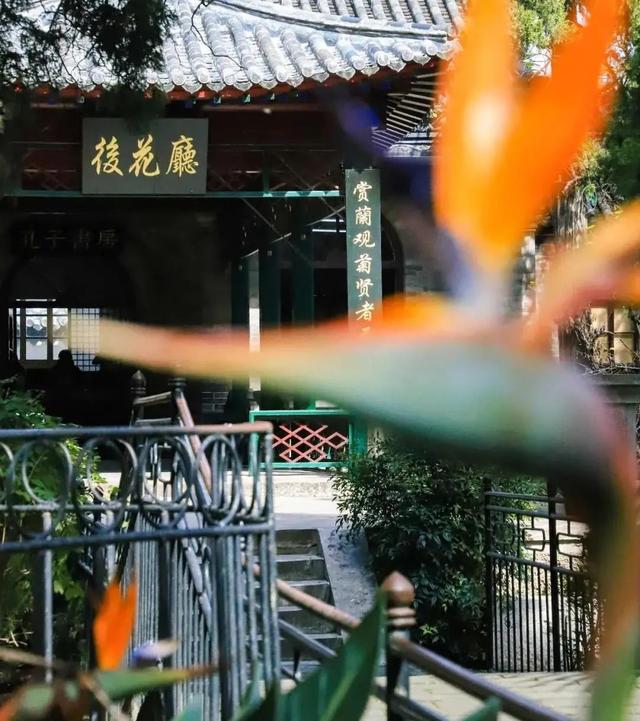 山东秋天景点排行榜前十名（人间最美是秋色）(10)