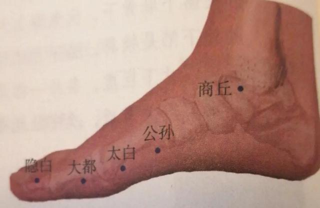 每日一穴……公孙穴