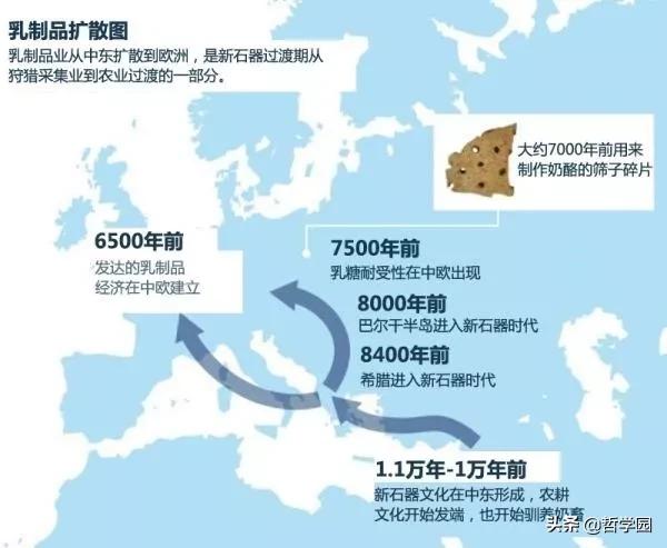 拉萨卧式过滤机