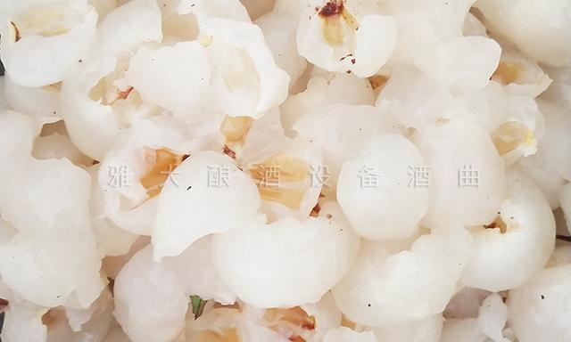 资阳荔枝酒过滤机