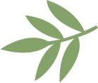 除了運動，這些愛好竟然也能促進身心健康？