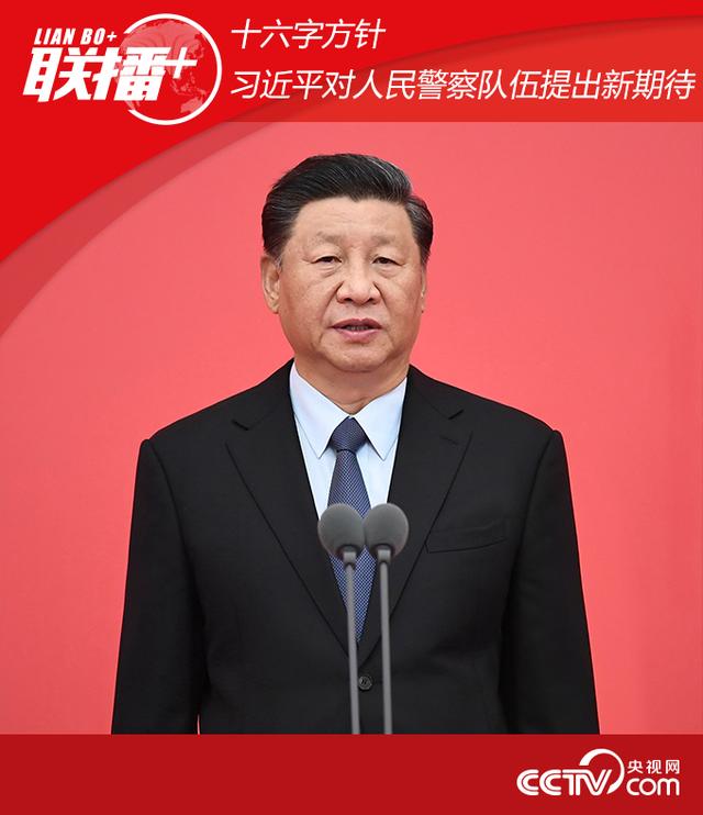 十六字方针 十六字方针
