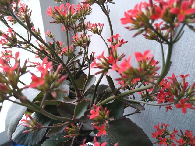 老年人合理安排好一日三餐，宜于健康长寿