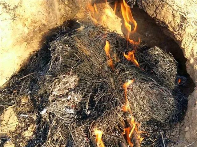 能磨芝麻核桃破碎机_能磨核桃芝麻粉的机器