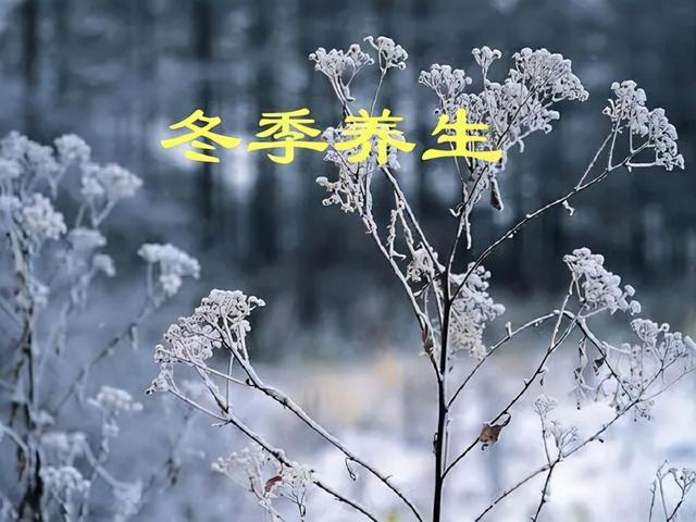 大雪在这个降温的日子里，退休老人要记住这几个养生事项