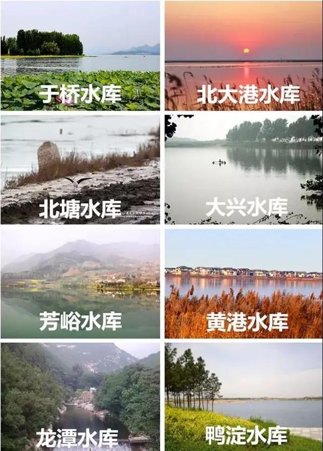 这里是，天津