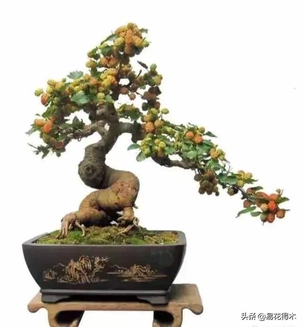 亳州干式洗砂机哪家好