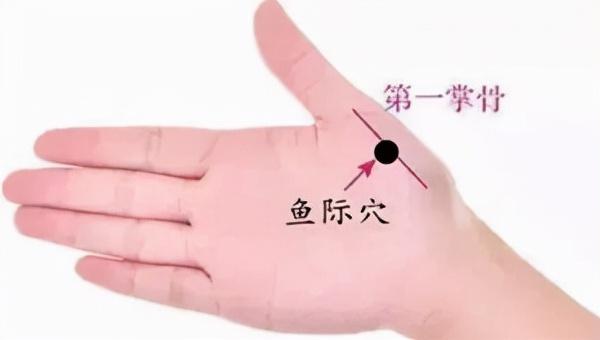 看看中弹了吗？心脏问题常见有哪些表现表现？以及它的日常养生