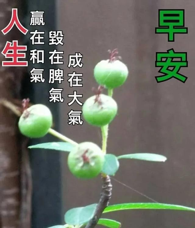 愚人节祝福语