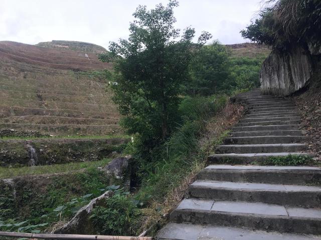 天门可逆锤式破碎机