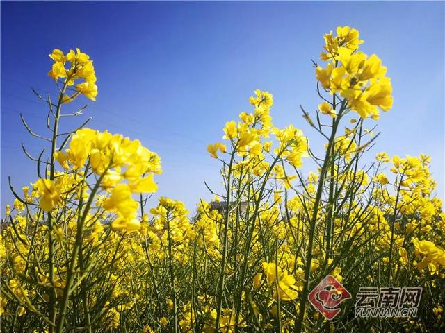 马龙小型洗砂机厂家电话