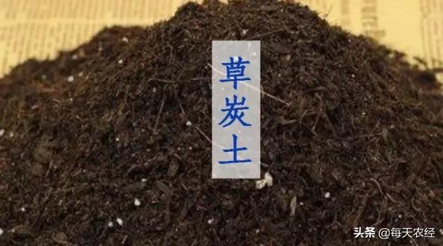 草炭土（草炭土一吨大概多少方）