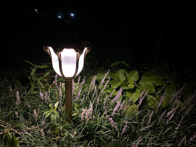 意不意外？ 华为P50 Pro首测2: 网友要求再拍10组对比， 逼出它影像极限