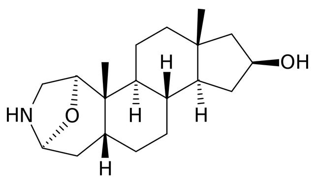 火蝾螈是什么动物