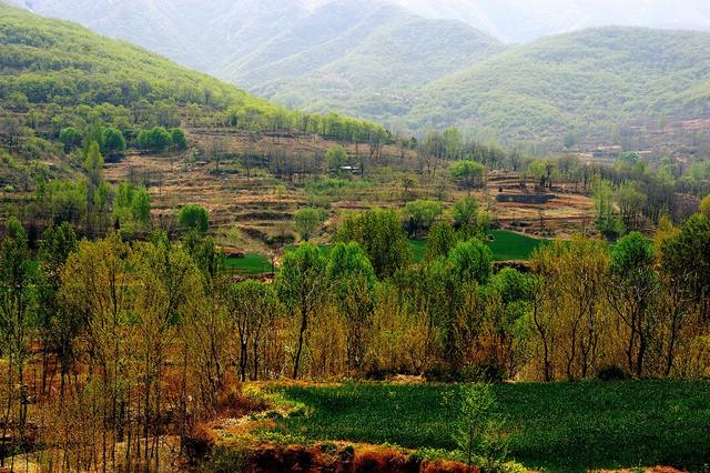 西岳什么山