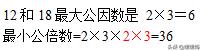 互质数是什么