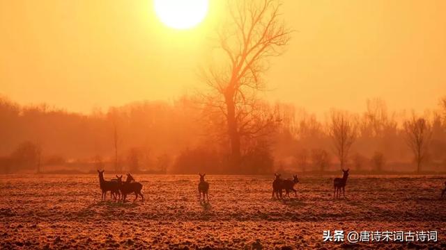 无穷无尽的意思