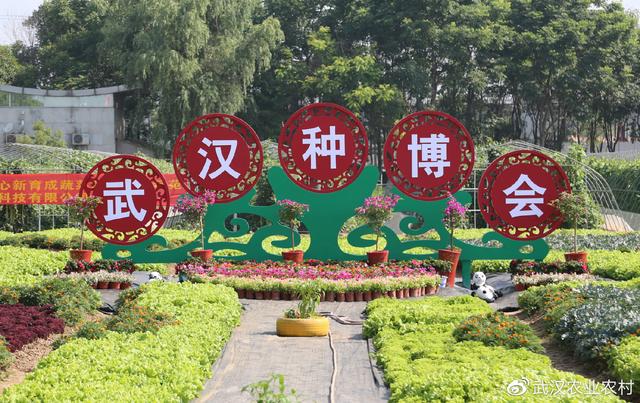 2021年3月份武汉机械展