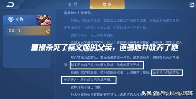 王者荣耀澜CG《目标》背景分析：为什么魏国要刺杀蔡文姬？