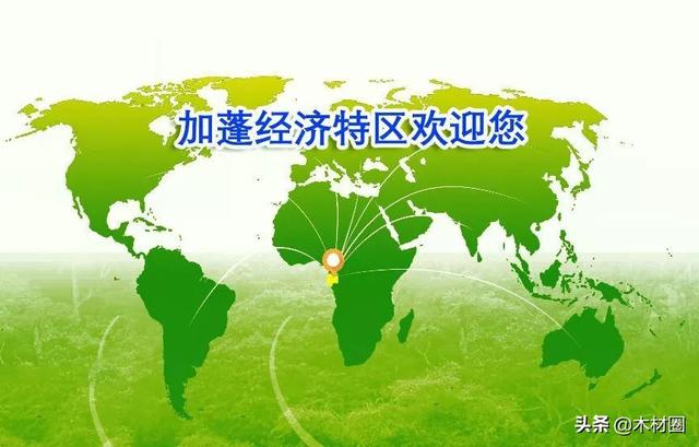 3月15日广州木工机械展