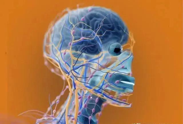 脑血管硬化变脆，易发中风，怎么判断？如何预防？