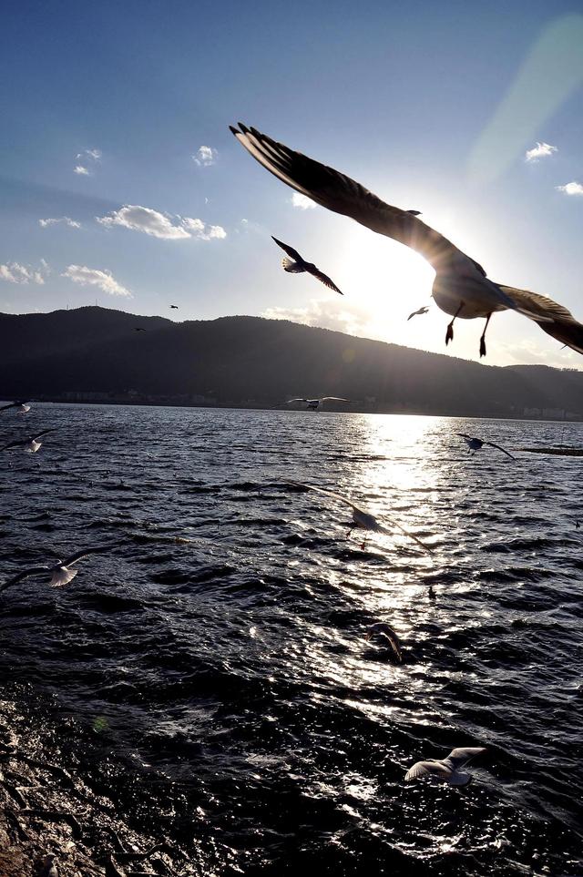 专业演员的英文(专业演员的英文怎么写)