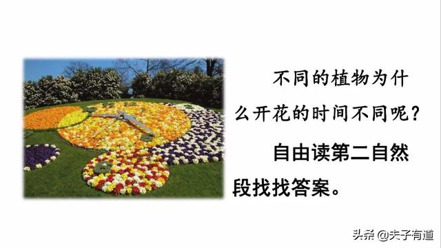 芳组词