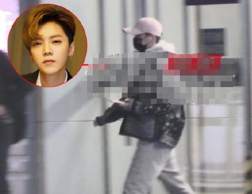 关晓彤鹿晗被拍(关晓彤鹿晗捐款了吗)