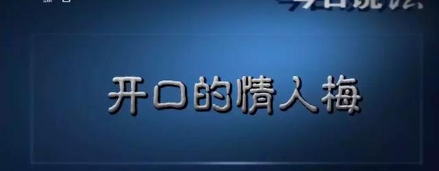 今日说法十大精彩案件