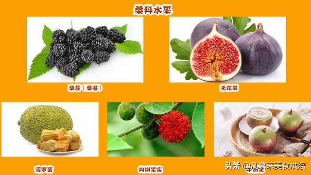水果有哪些 水果有哪些（水果有哪些形状） 生活
