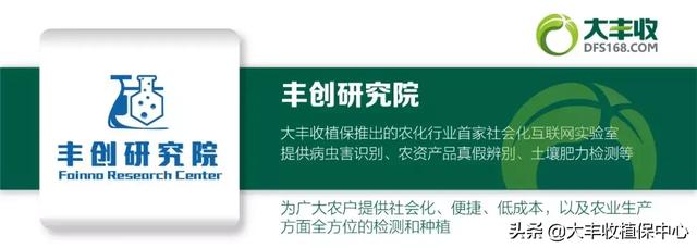 这个除草剂效果真是好！杂草30分钟枯萎，3天死亡！防效近100%2