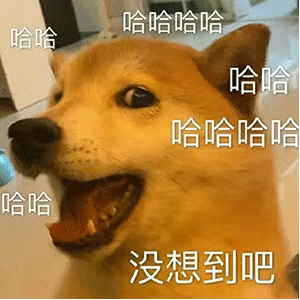 心凉的图片