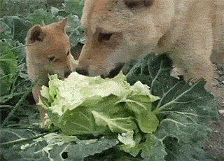 有没有网贷没还的有没有网贷没还的发来律师函的