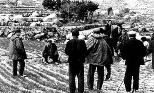 1981年，他躲入深山“登基”，发展了55名佳丽，其中还有村镇干部