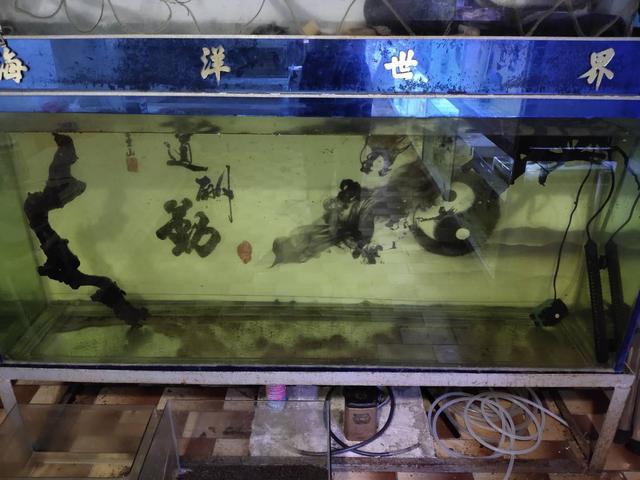 冲缸是什么意思啊(冲缸和拉缸是什么意思)