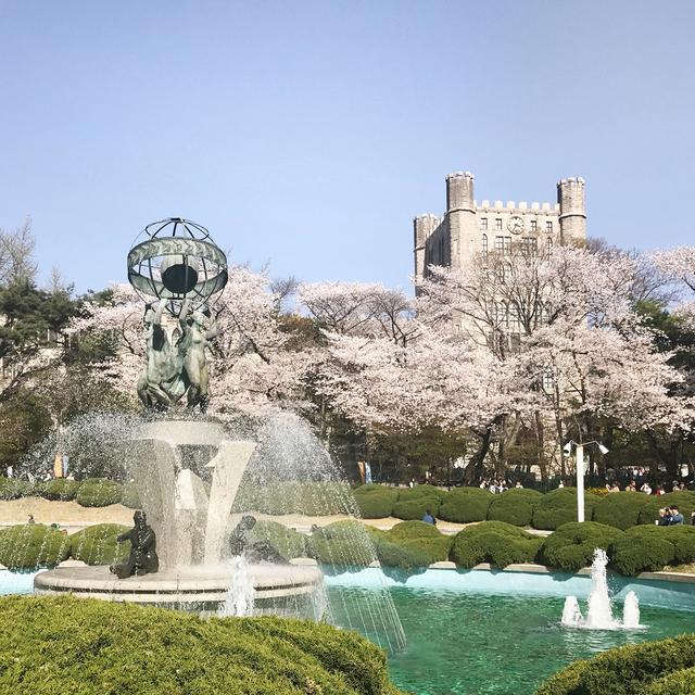 韩国首尔艺术大学留学条件，韩国首尔艺术大学留学条件及费用？