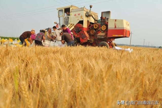 中国18亿亩耕地，维持每年6.5亿吨粮食产量，需要多少种地农民？4