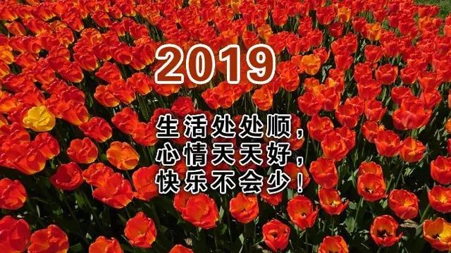 2019正能量早安心语：亲手改变现在，而不是等待未来救援